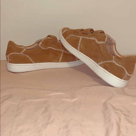 UGG Shoes - Brand new Ugg Sneakers